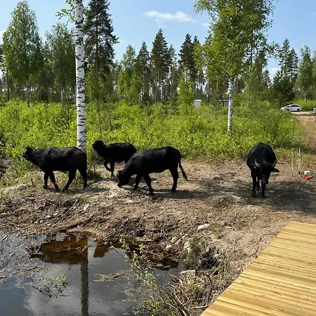 Wanha Anola - Golf & 公寓 皮耶克赛迈基